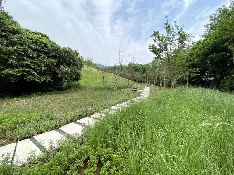 環境監測站節省成本、提**率