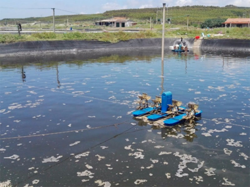 水中亞硝酸鹽含量過高對養殖有什么影響