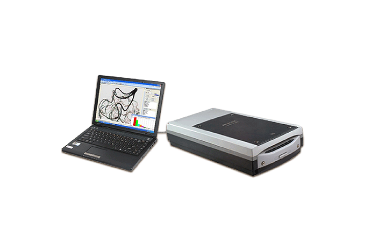 植物根系圖像分析儀，可分析根系面積