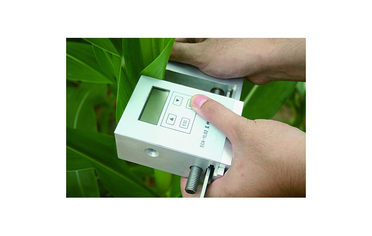 莖桿強(qiáng)度測(cè)定儀