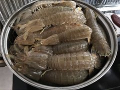 皮皮蝦中為什么會被檢測出鎘超標(biāo)？