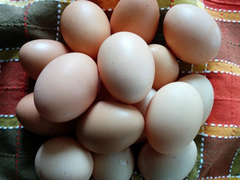 獸藥殘留檢測(cè)設(shè)備:雞蛋藥物殘留檢測(cè)儀 獸藥殘留檢測(cè)設(shè)備:雞蛋藥物殘留檢測(cè)儀