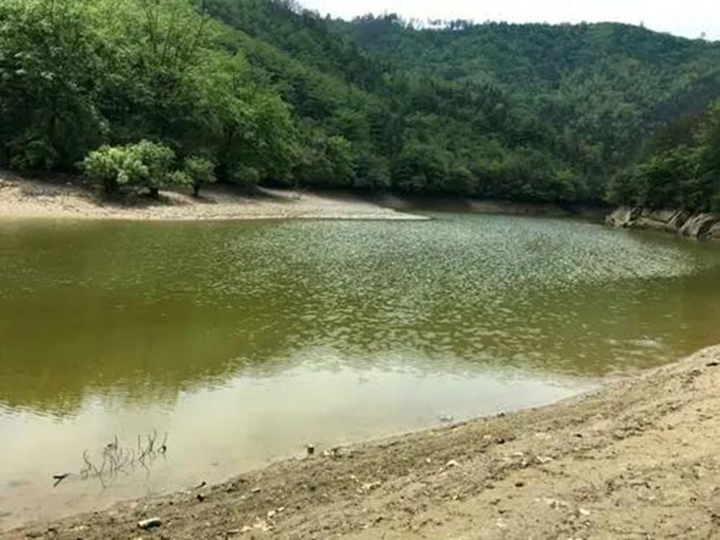 水產(chǎn)養(yǎng)殖檢測儀，為水源保護(hù)提供精準(zhǔn)數(shù)據(jù)