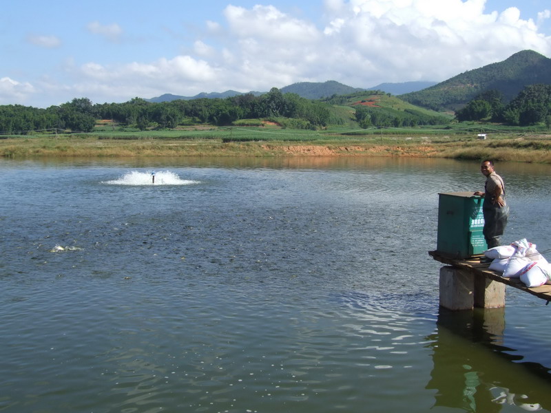 水產養(yǎng)殖檢測儀，為水產提供優(yōu)良的生長環(huán)境