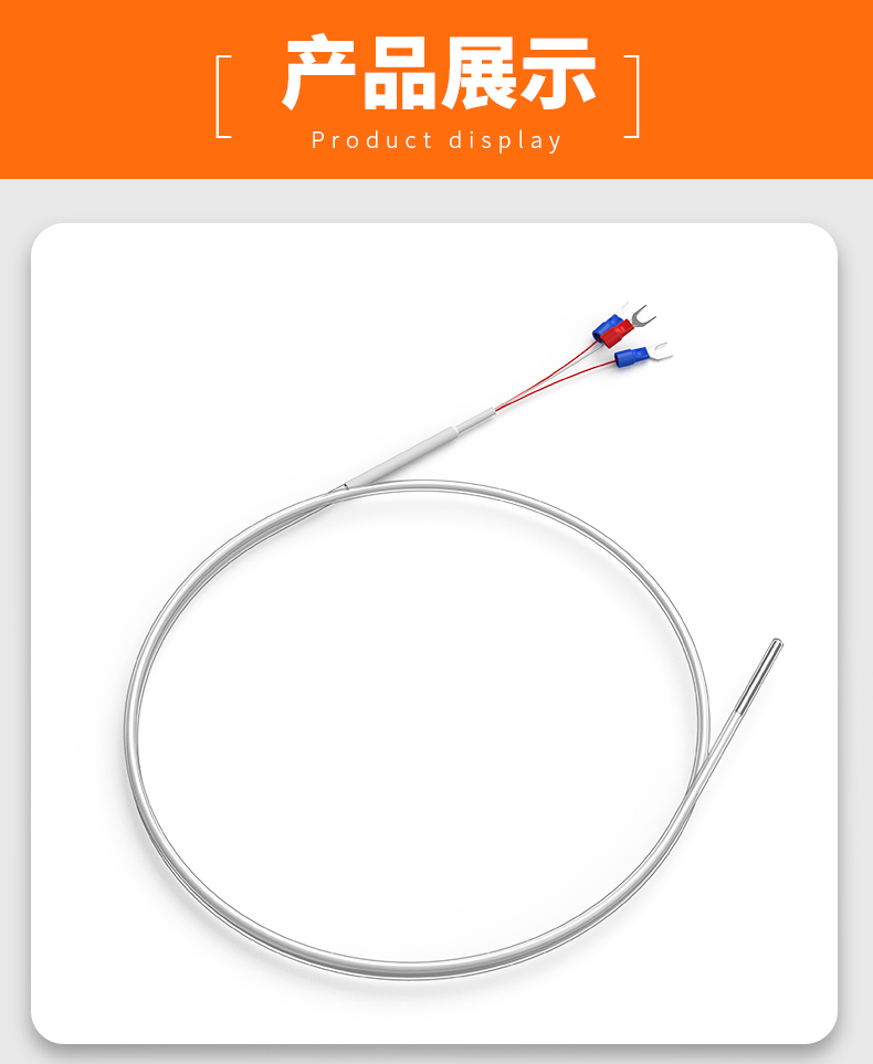 鐵氟龍熱電阻12_http://m.tanliwaw.cn_溫度儀表_第13張